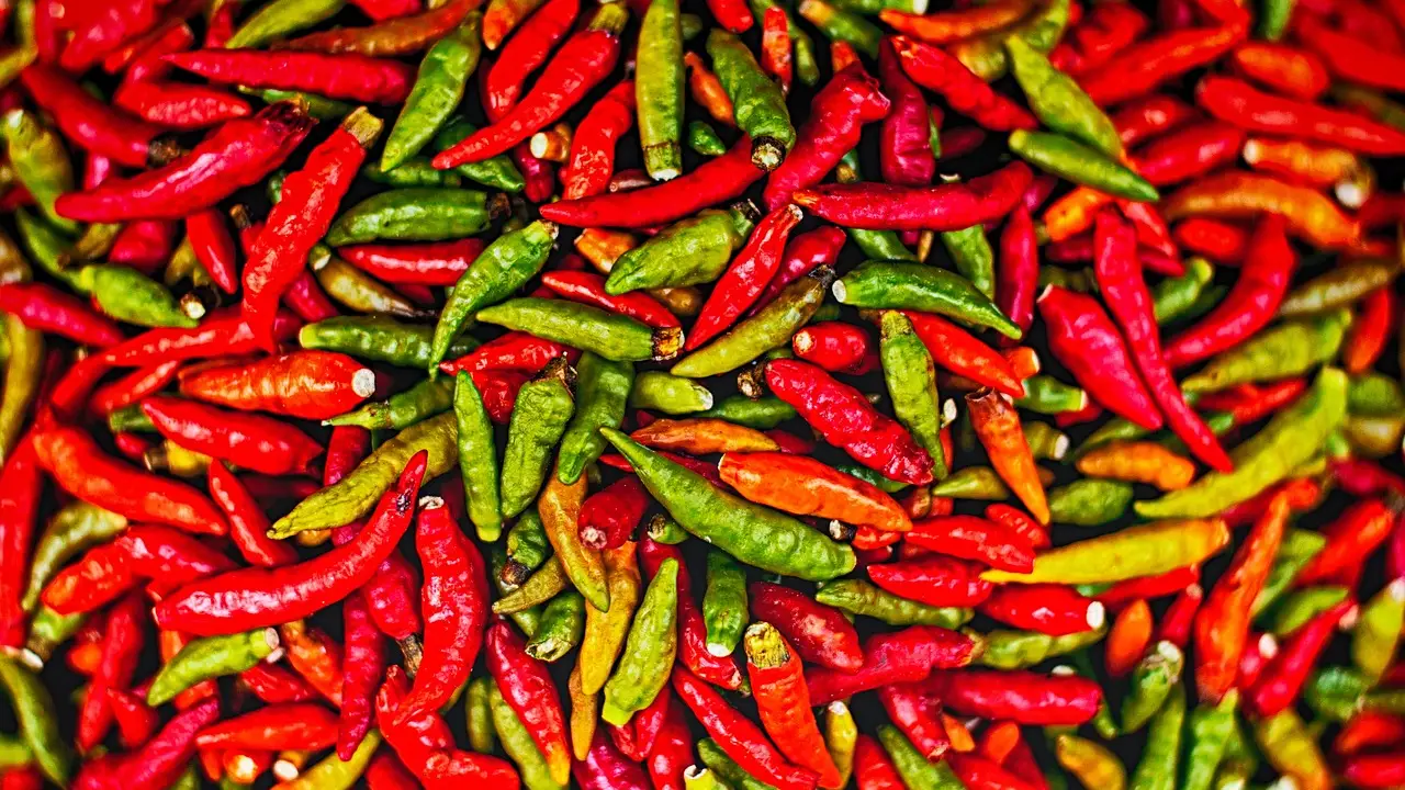 Chiles picantes Chiles picantes