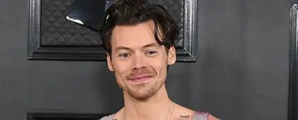 Harry Styles Harry Styles