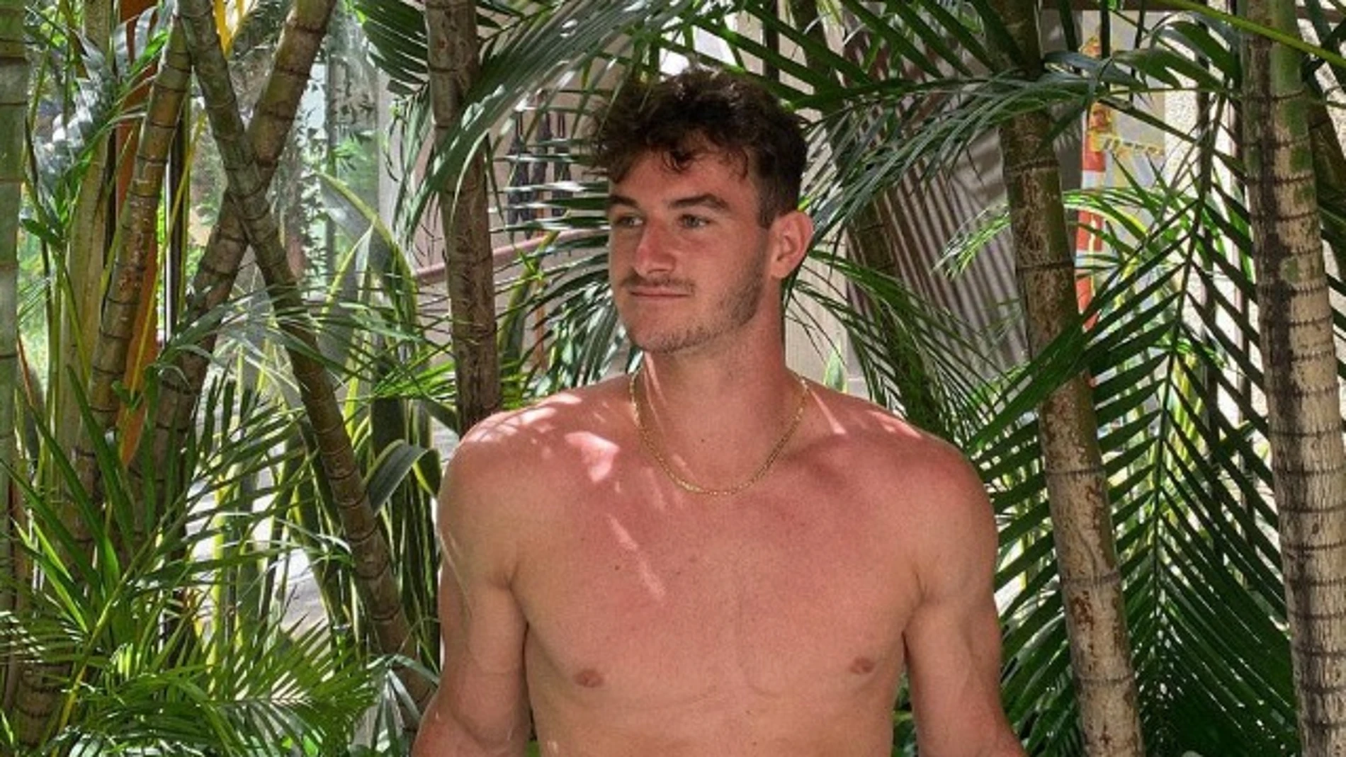 Antho️️ny Ammirati Antho️️ny Ammirati