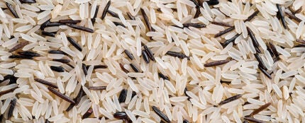 Arroz