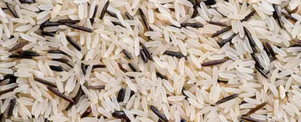 Arroz Arroz