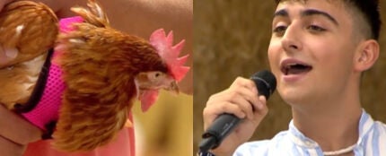 En cuántos programas ha estado Juanjo Bona: de 'Masterchef' a 'Operación Triunfo'