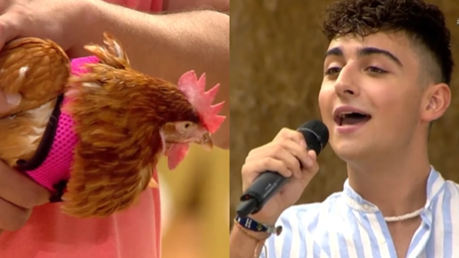 En cuántos programas ha estado Juanjo Bona: de 'Masterchef' a 'Operación Triunfo' En cuántos programas ha estado Juanjo Bona: de 'Masterchef' a 'Operación Triunfo'