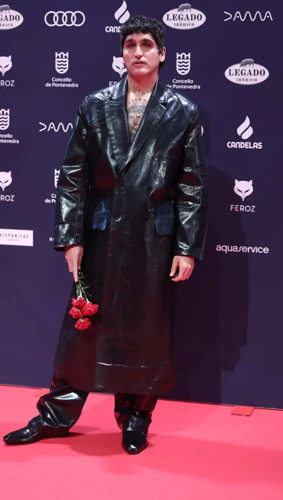 La Dani en la alfombra roja de los Premios Feroz 2025 La Dani en la alfombra roja de los Premios Feroz 2025