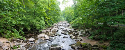 Río Río