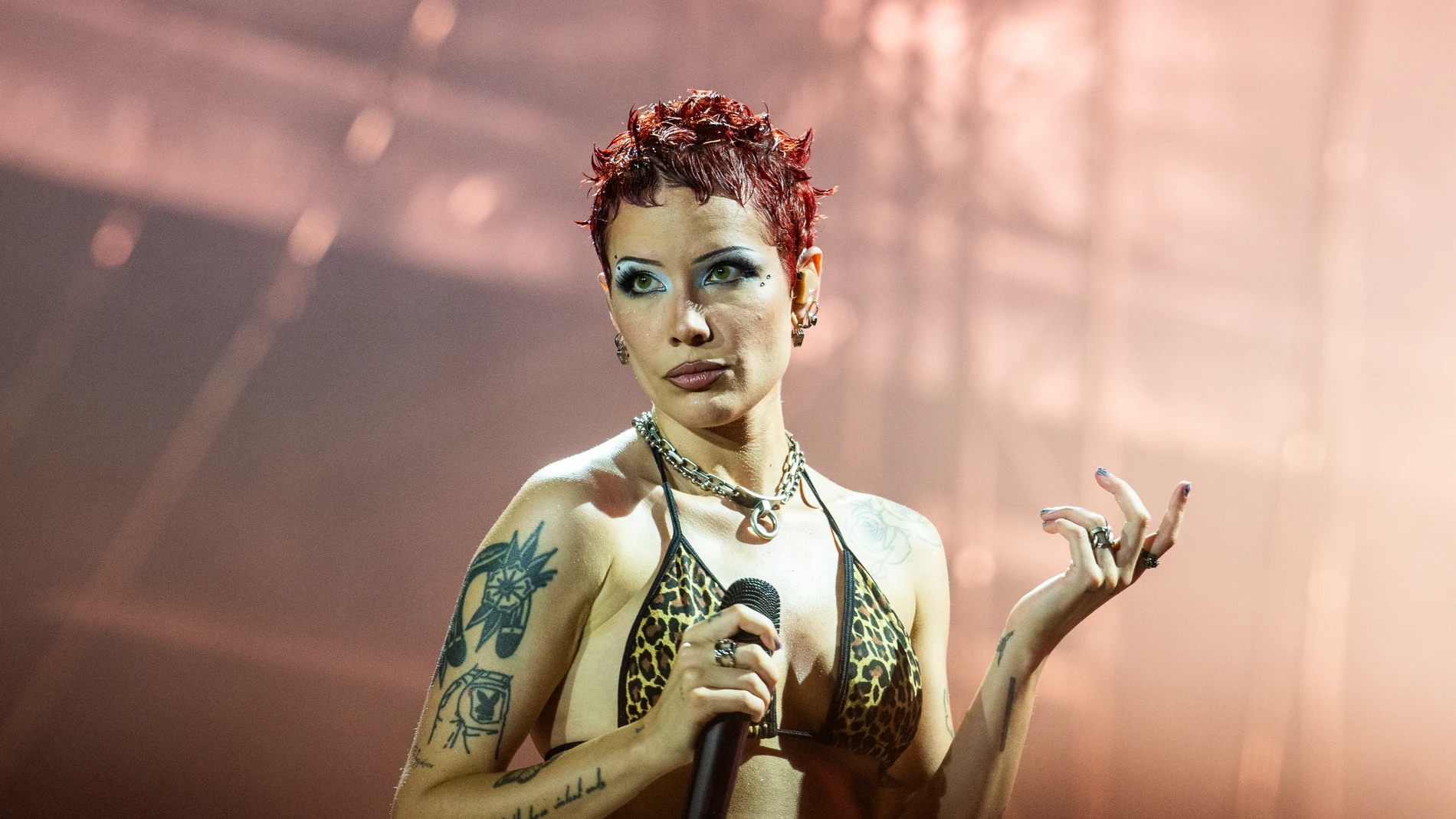 Halsey Halsey