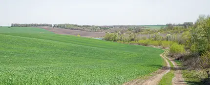 Campo Campo