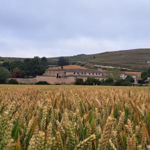Palacios de Benaver (Burgos) Palacios de Benaver (Burgos)