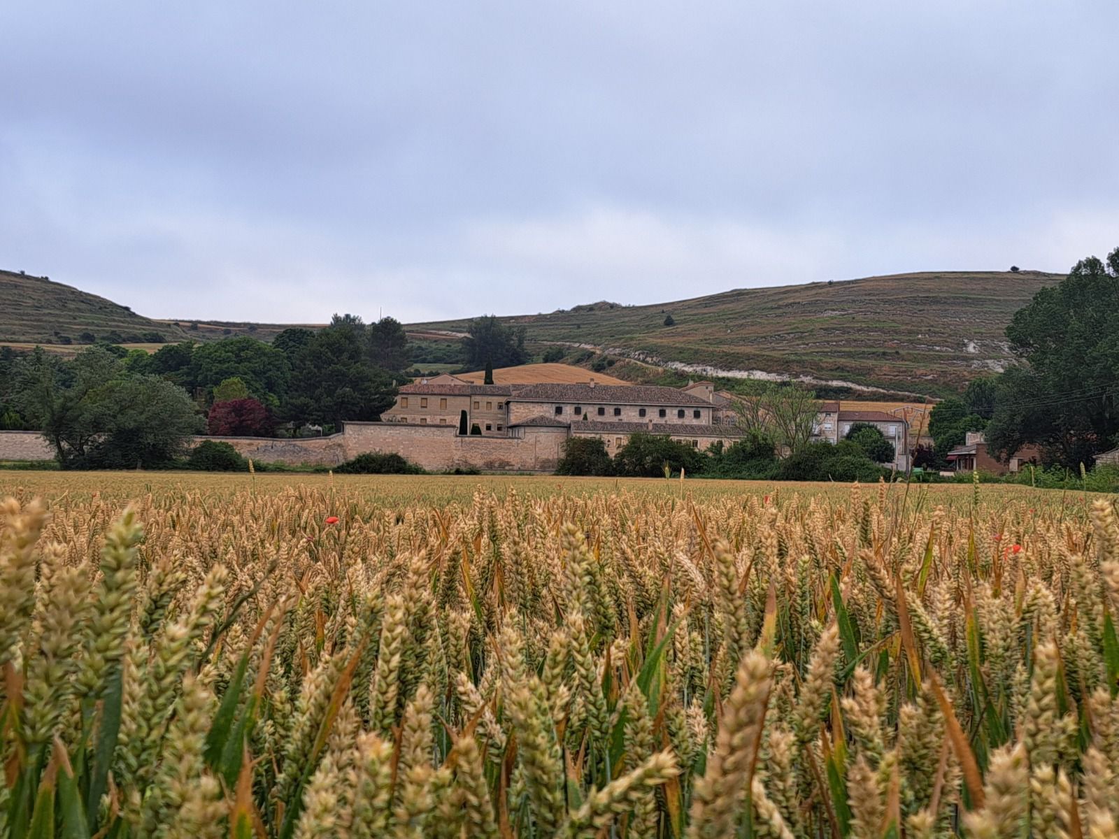 Palacios de Benaver (Burgos)