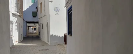 Gelsa (Zaragoza) Gelsa (Zaragoza)