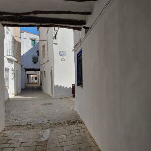 Gelsa (Zaragoza) Gelsa (Zaragoza)