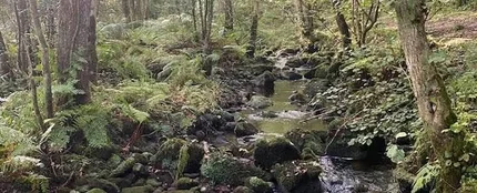 Argüero (Asturias) Argüero (Asturias)