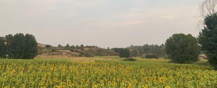 Fresneda de Altarejos (Cuenca)