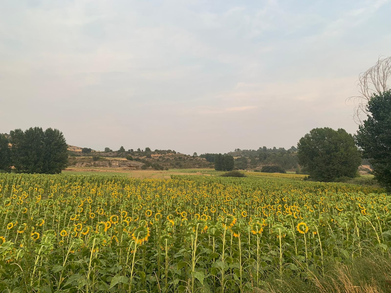Fresneda de Altarejos (Cuenca)