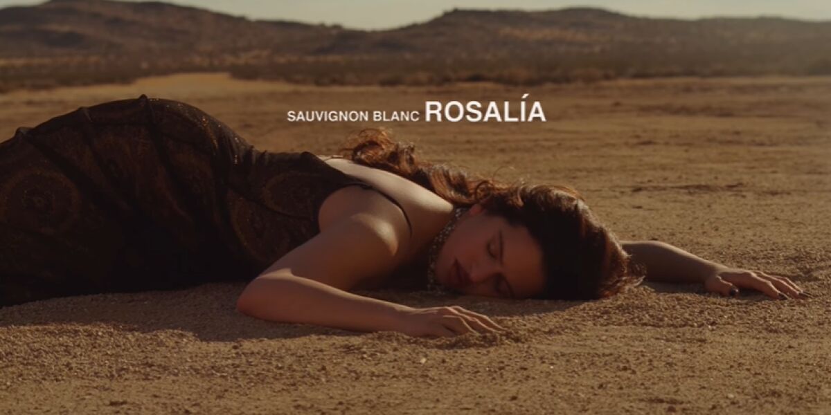 Rosal&iacute;a desvela el videoclip de 'Sauvignon Blanc'