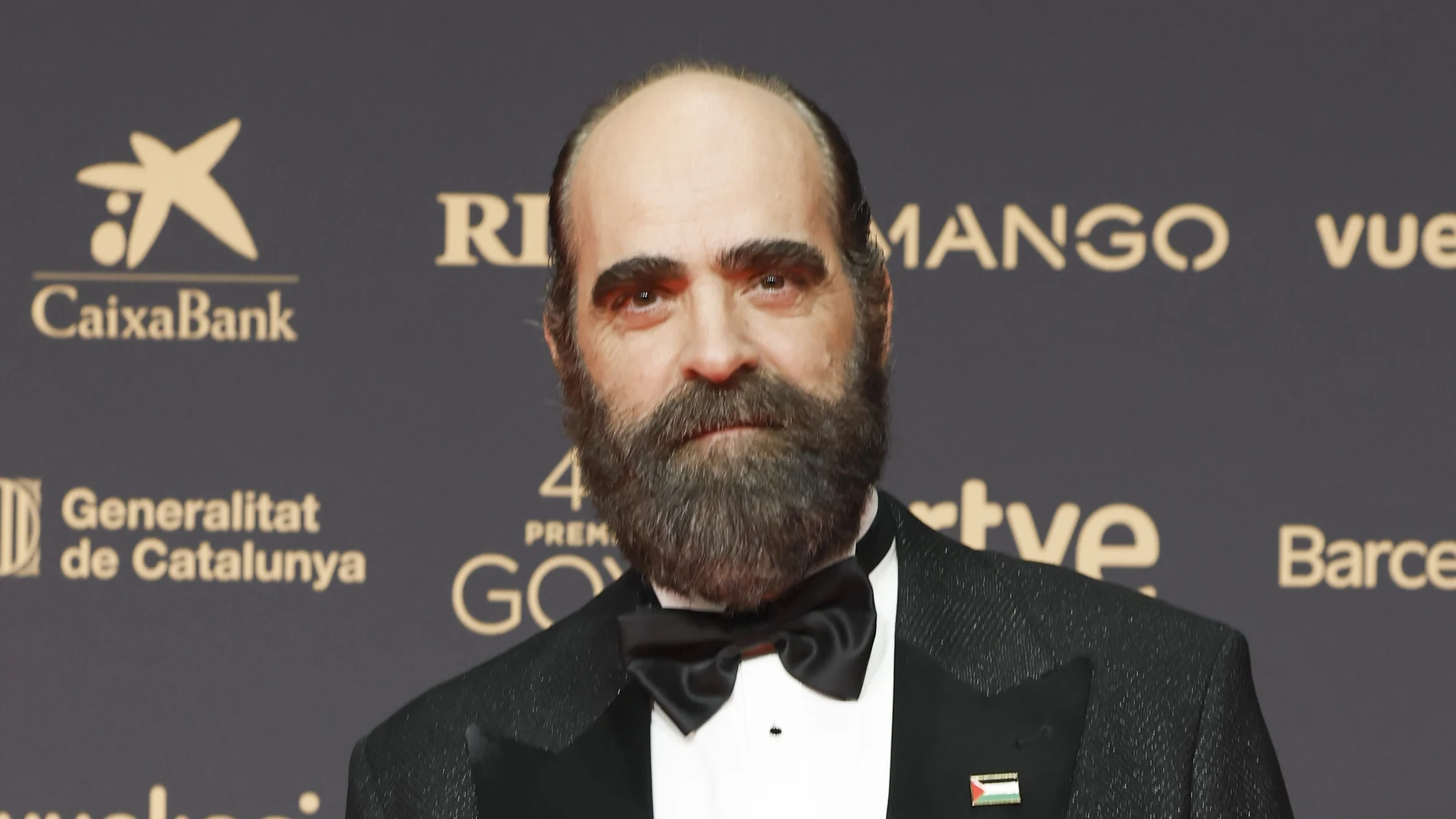 Luis Tosar en la alfombra roja de los Premios Goya 2026 Luis Tosar en la alfombra roja de los Premios Goya 2026