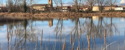 Marcilla de Campos (Palencia)