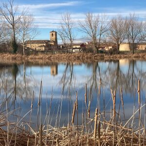 Marcilla de Campos (Palencia) Marcilla de Campos (Palencia)