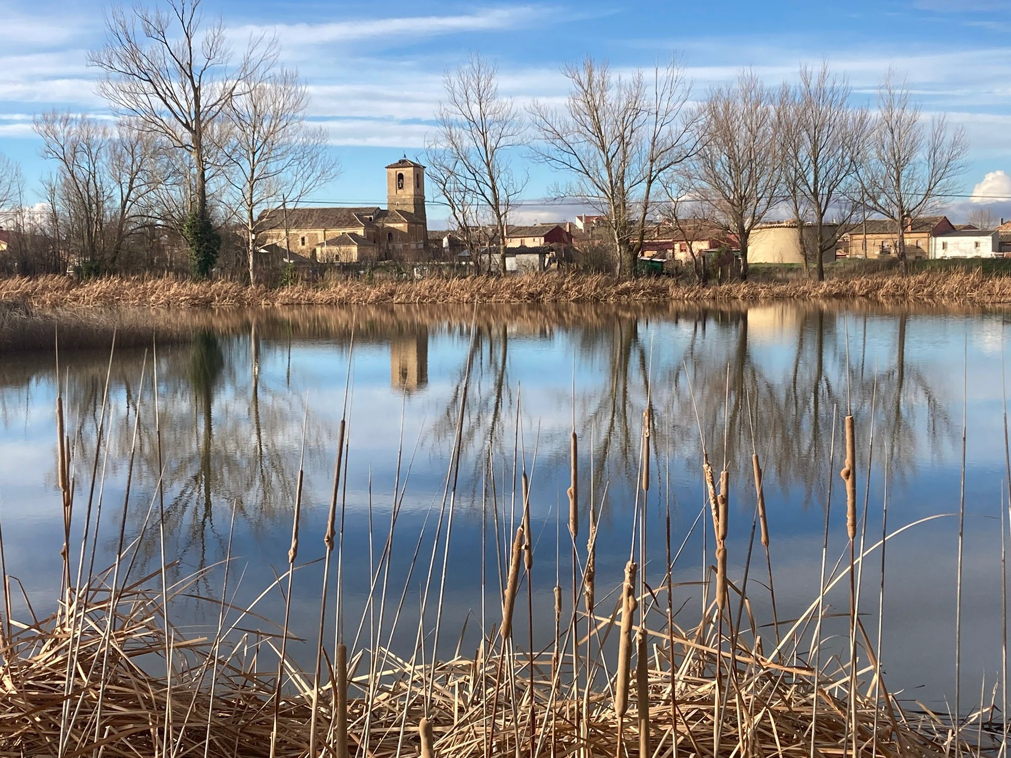 Marcilla de Campos (Palencia)