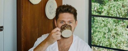 Niall Horan en 'Dinner party'