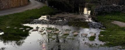 Mah&iacute;de (Zamora)