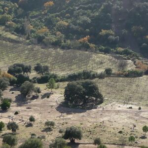 Coripe (Sevilla) Coripe (Sevilla)