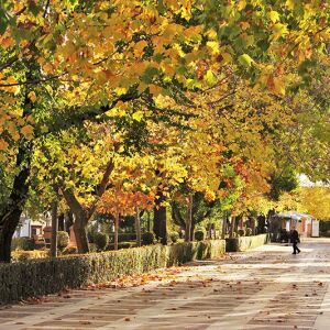 Caniles (Granada) Caniles (Granada)