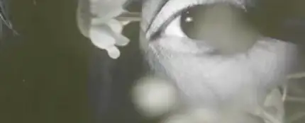 Ariana Grande, en el teaser de 'hate that i made you love me' Ariana Grande, en el teaser de 'hate that i made you love me'