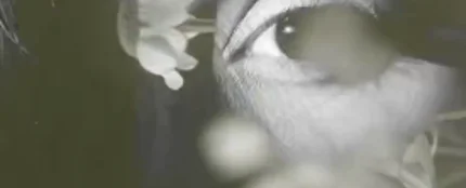 Ariana Grande, en el teaser de 'hate that i made you love me' Ariana Grande, en el teaser de 'hate that i made you love me'
