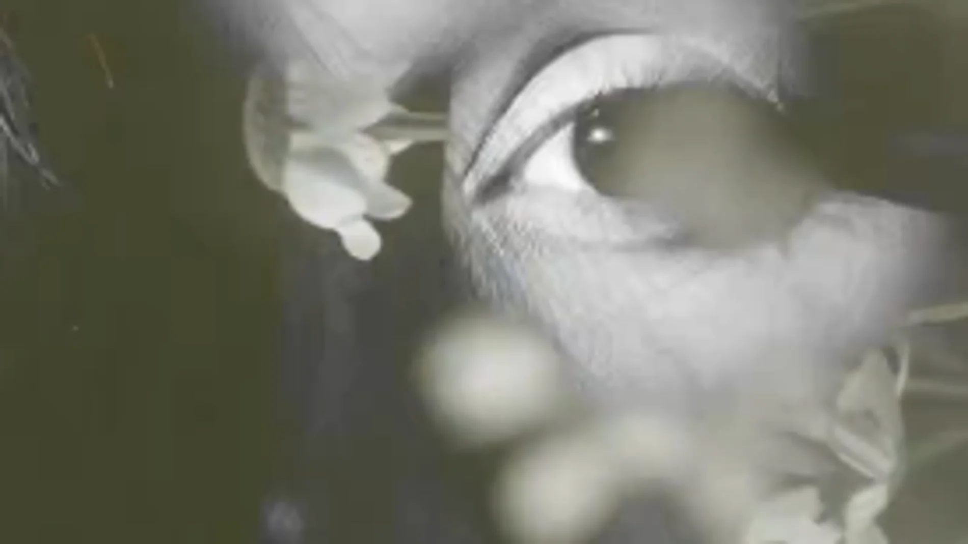Ariana Grande, en el teaser de 'hate that i made you love me' Ariana Grande, en el teaser de 'hate that i made you love me'