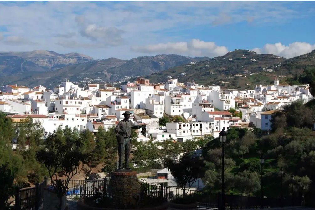 Sayalonga (Málaga) — Cuerpos especiales cover
