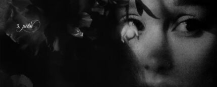 Ariana Grande para 'petal'