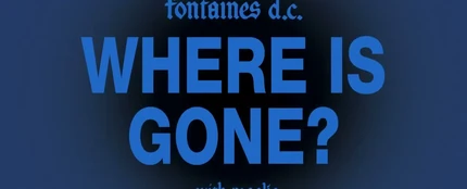 La portada de 'Where Is Gone?', de Fontaines D.C. y Rosalía La portada de 'Where Is Gone?', de Fontaines D.C. y Rosalía
