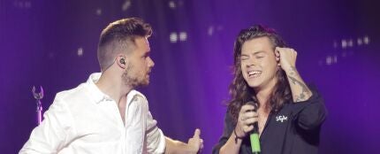 Liam Payne y Harry Styles en 2015